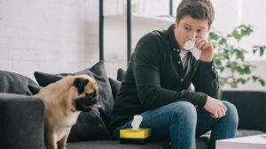 Purchasing an air purifier is one of the wisest ways to boost your home’s indoor air quality. Discover more about the three smartest options.