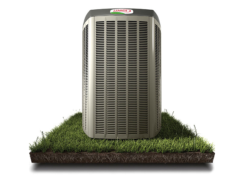 DLS-AC_grass image