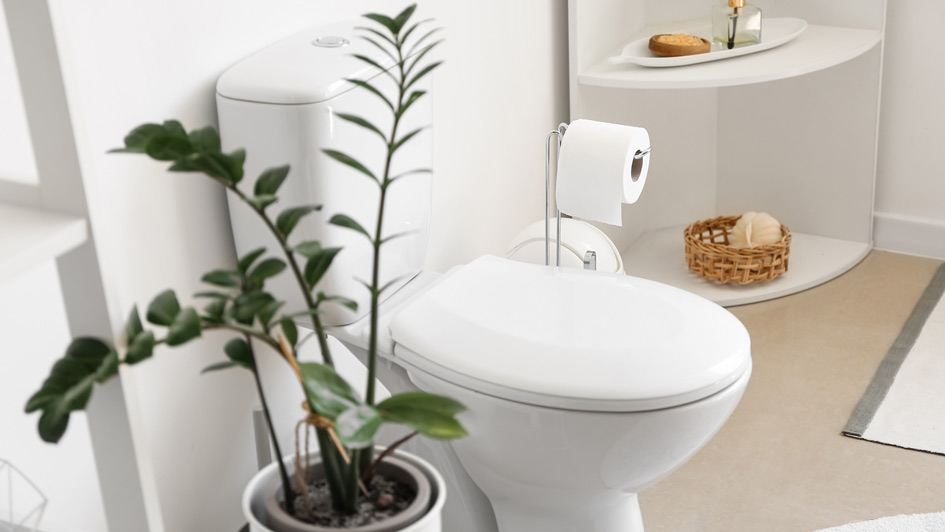 Answered: Why a Toilet Won’t Stop Running and Five Other Common Issues